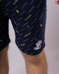 3f83befd4933c9750c2de5f42920da0e